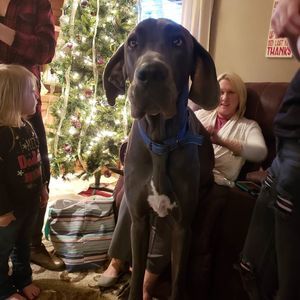 Meet your Posher, Vicki